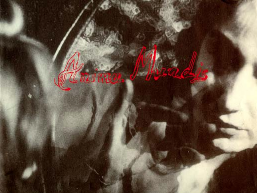 Lydia Venieri, Anima Mundis