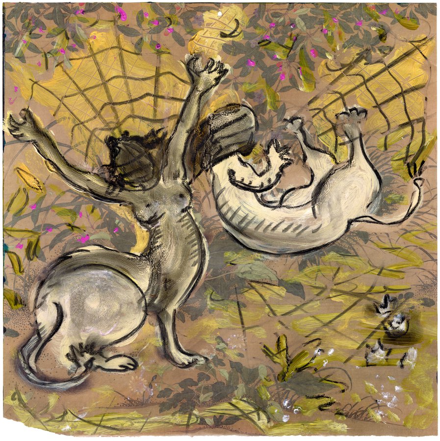 Lydia Venieri, The Tiger And The Antelope