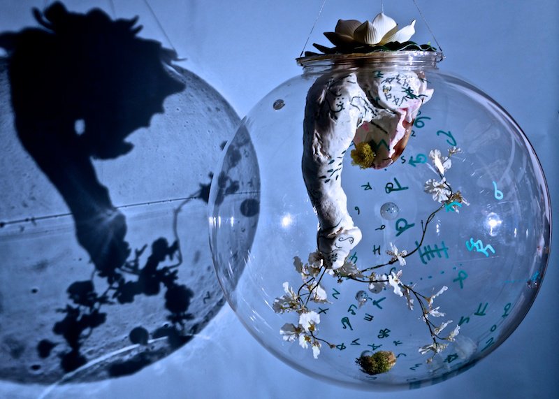 Lydia Venieri, Phallic Swan