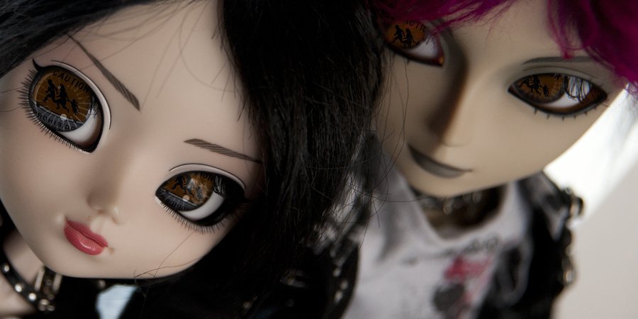 Lydia Venieri, Caution Illegal Immigrant