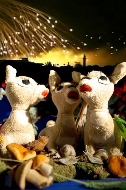 Lydia Venieri, TOMORROW ~ PHOSPHOR STARS IN WHITE NIGHTS