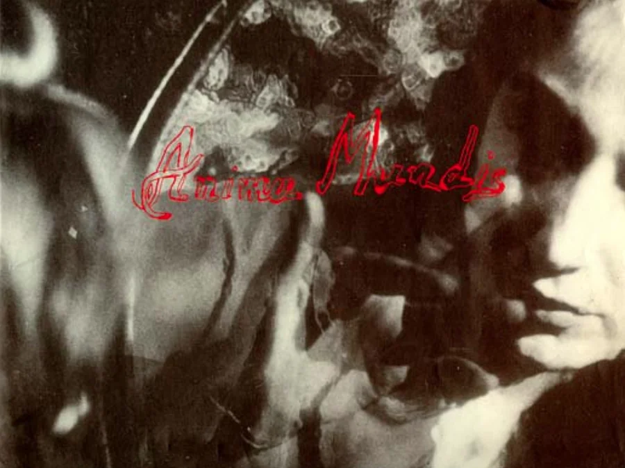 Lydia Venieri, Anima Mundis