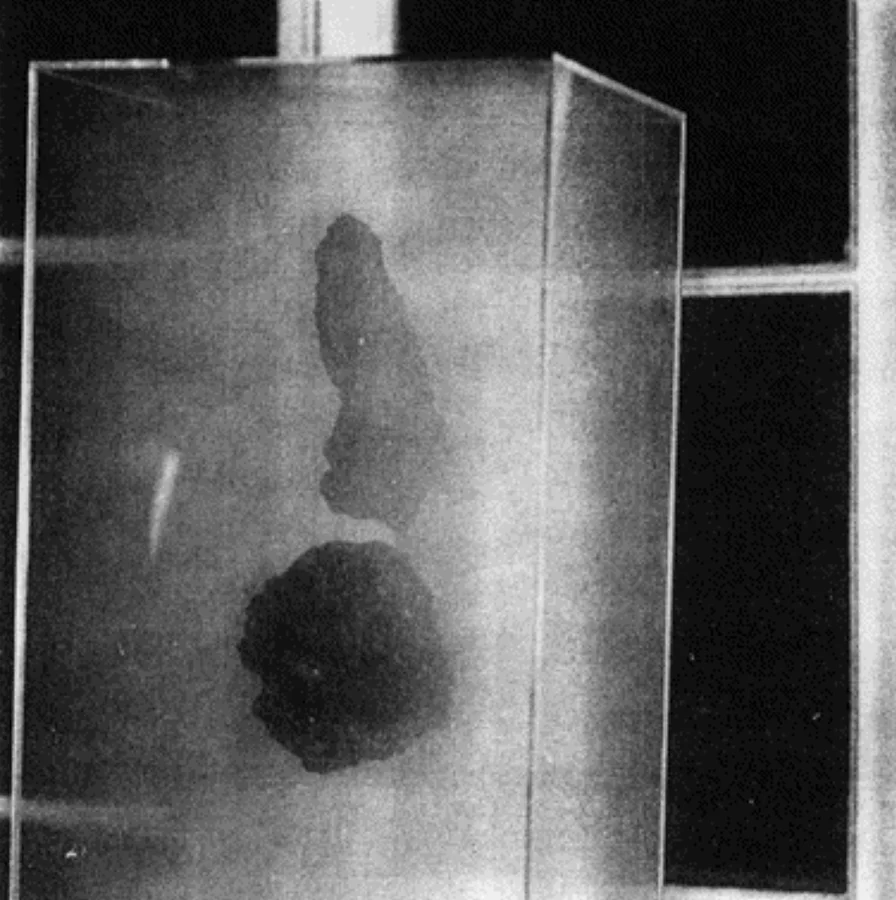 Lydia Venieri, Ermata. Errance du Sacre