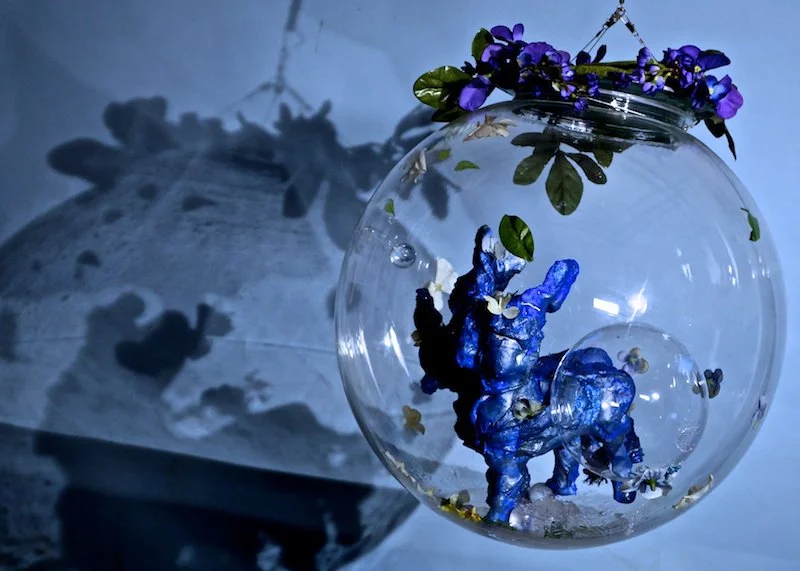 Lydia Venieri, Blue Centaurs